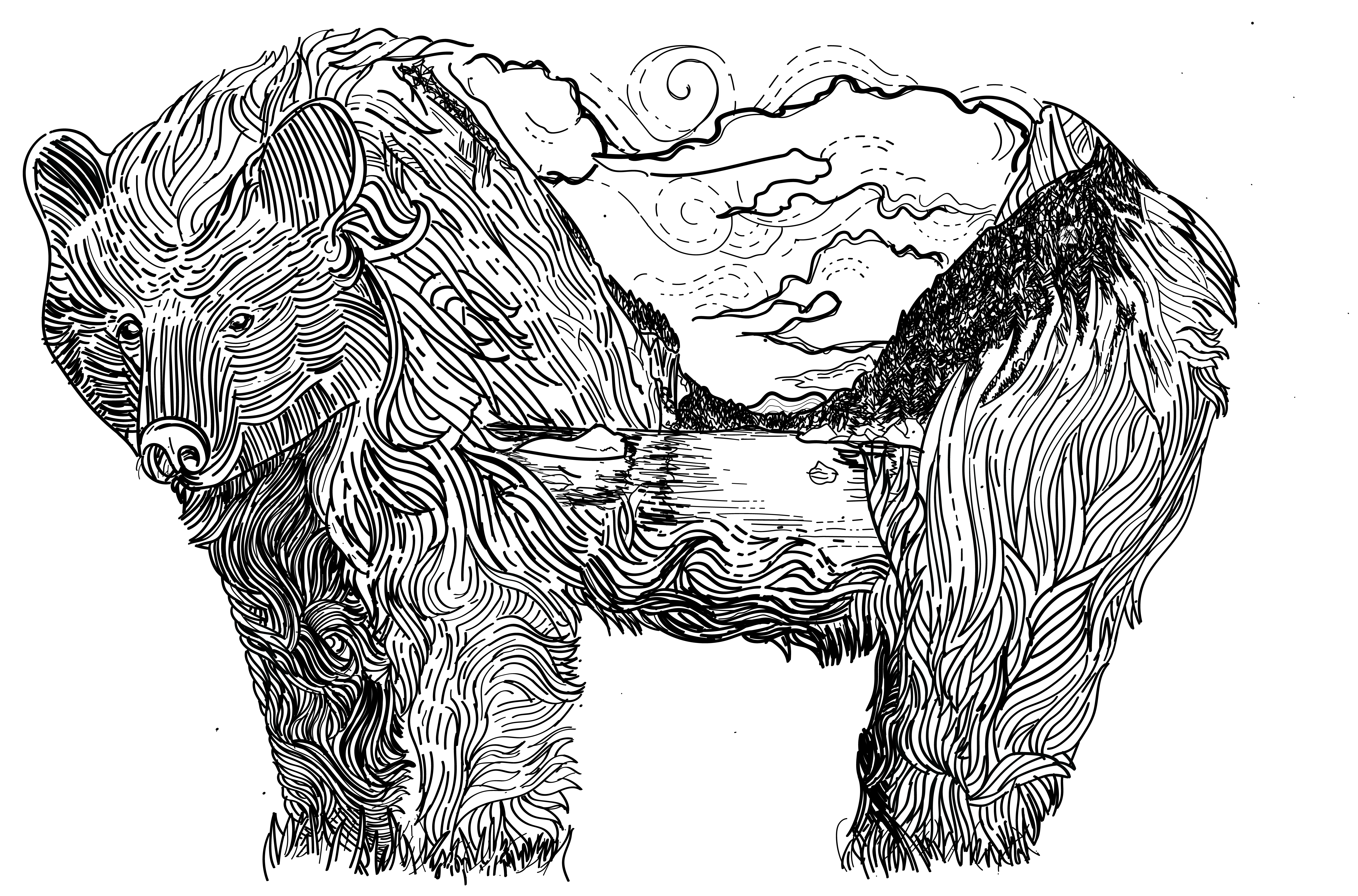 bear drawing with Adirondack mountain landscape