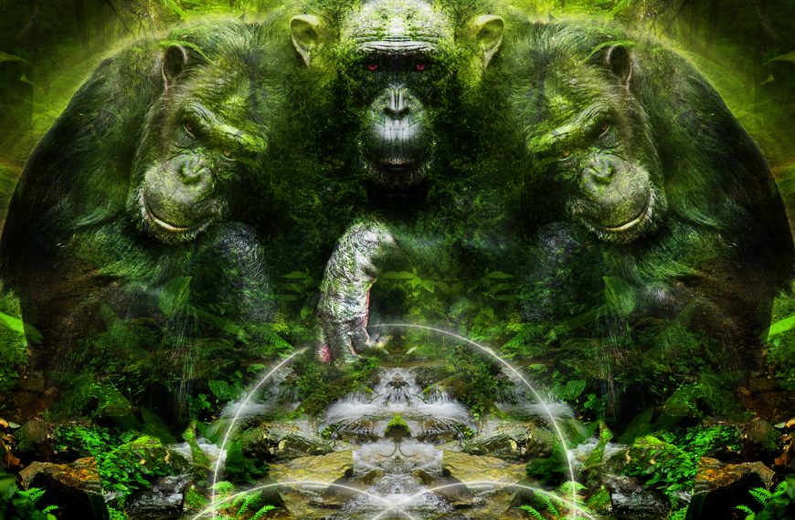 Iching illustration featuring 3 chimpanzees huddled together in a verdant jungle